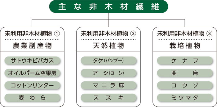 主な非木材繊維